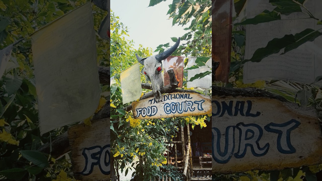 Baghmora eco camp ⛺️ 