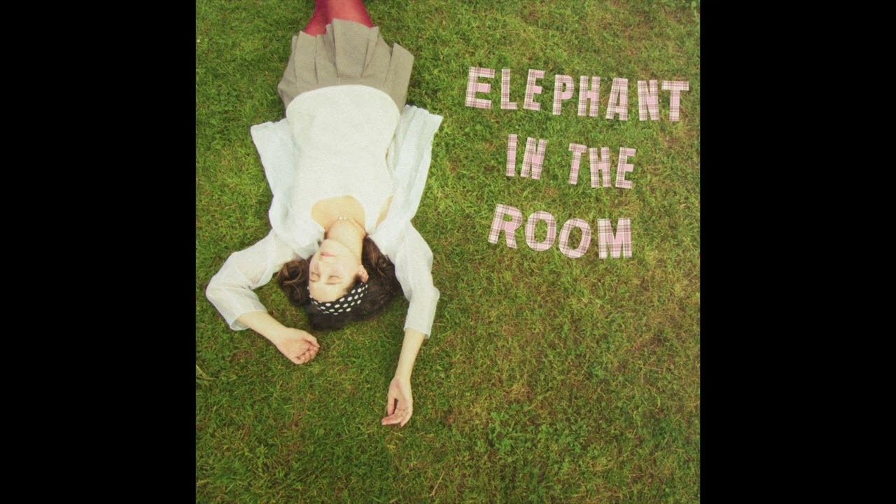 Elephant In The Room