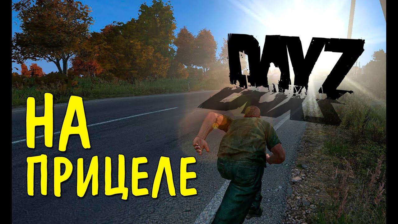 На прицеле! - DayZ Standalone