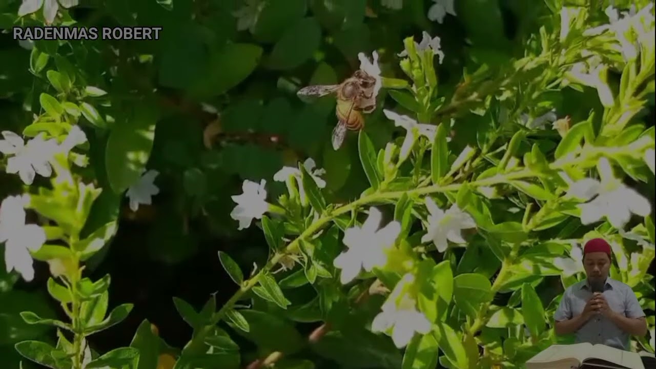 УШБУ СУРАНИ ХАР КУНИ УҚИНГ ЁКИ ЭШИТИНГ Кучли дуо, суралар