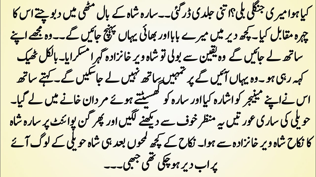 Urdu Novel 