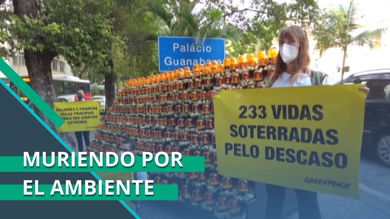 Conozca por qué la última década ha sido la más letal para los defensores ambientales
