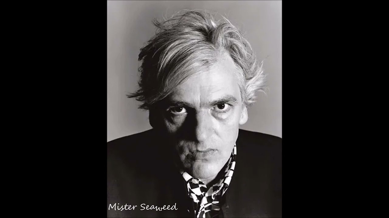 ~ Robyn Hitchcock ~ Mister Seaweed  ~