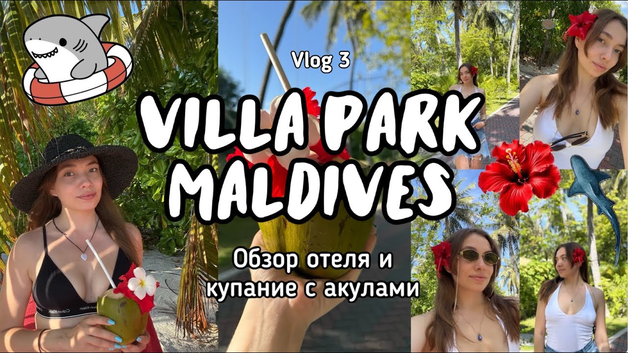 Отдых и обзор отеля VILLA PARK (Sun Island Resort Maldives 5*)🇲🇻 Мальдивы летом и купание с акулами🦈