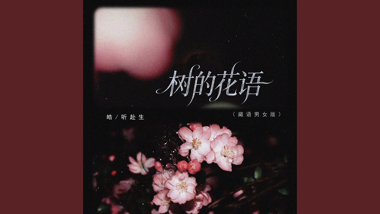 树的花语 (藏语男女版)