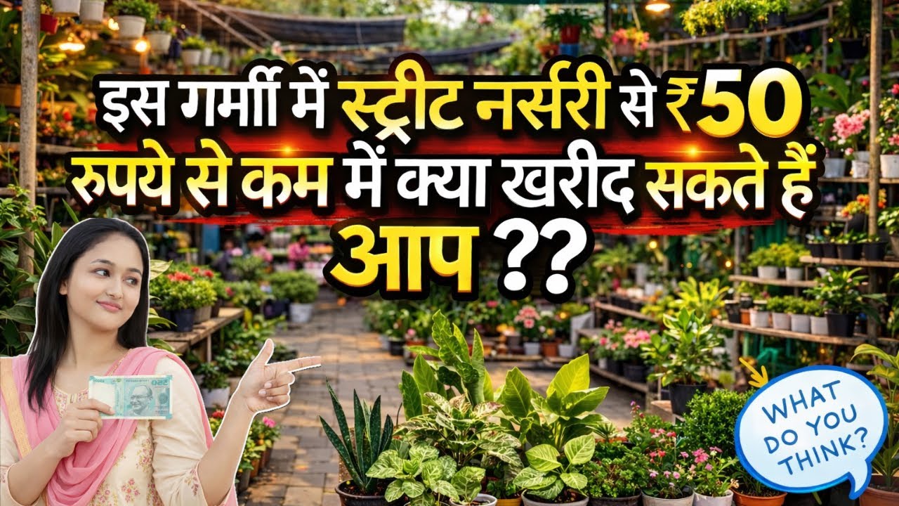 Best Summer Plants Under ₹50 | Street Nursery Tour in Lucknow | Budget Gardening Finds