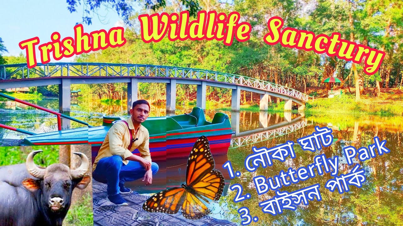 Trishna Wildlife Sanctuary | তৃষ্ণা অভ‍য়ারণ‍্য #BisonPark | ButterflyPark #নৌকাঘাট | TripuraTourism
