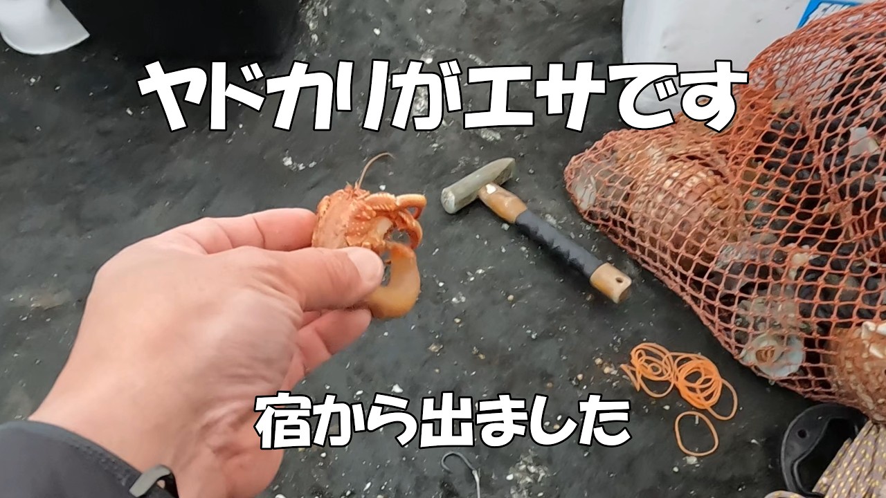 【遠投石鯛釣り】90メートル沖にヤドカリをぶっ込んでみた