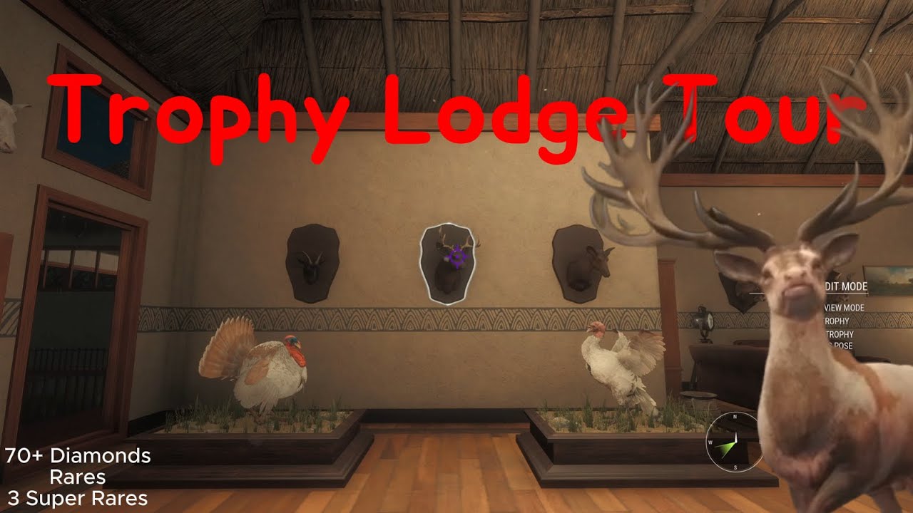 Trophy Lodge Tour! (Diamonds, Rares, And More)