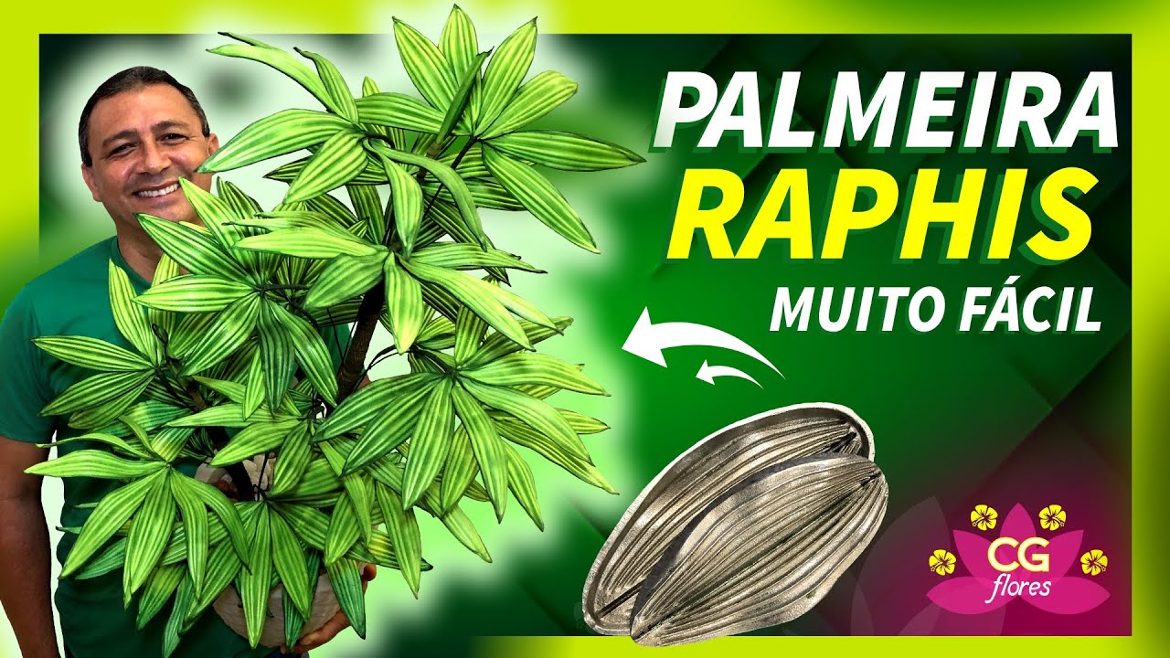PALMEIRA RAPHIS COM APENAS UM FRISADOR | PASSO A PASSO