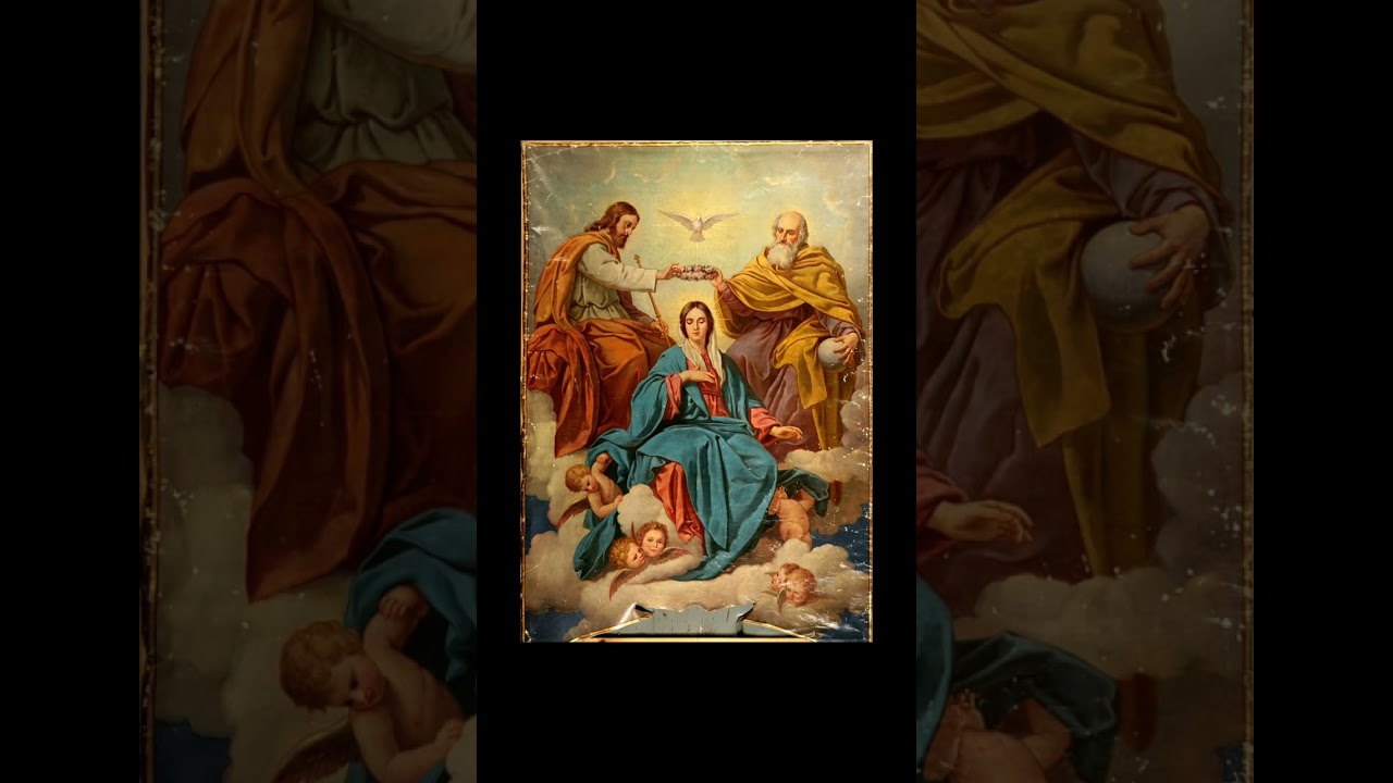 22 de agosto dedicado a Coroa&ccedil;&atilde;o de Nossa Senhora como A Rainha do C&eacute;u e Da Terra🙏🏻&hearts;️🌺🌹