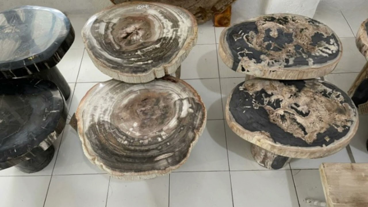 Unique Stone Furniture Fossil Wood Side Table #petrifiedwood #sidetables #naturalstone #sidetable