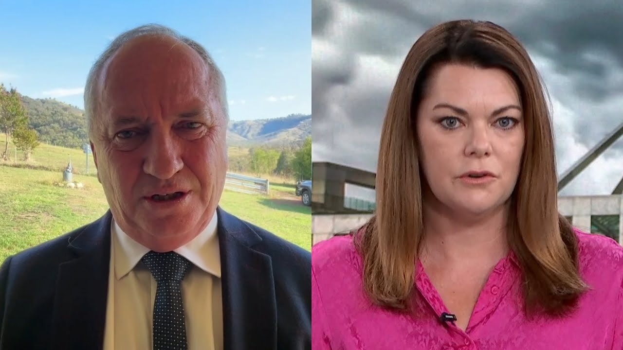 ‘Who do we rely on?’: Barnaby Joyce slams Sarah Hanson-Young’s push to ditch US