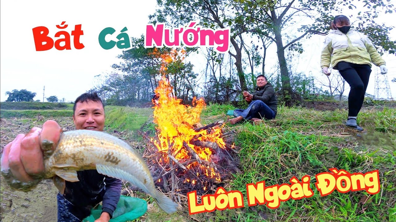 Mương Nước Nhỏ Nhưng Bắt Được Toàn Cá To Cùng Em Gái Nướng Ăn Ngay Giữa Đồng / Quế Nghịch