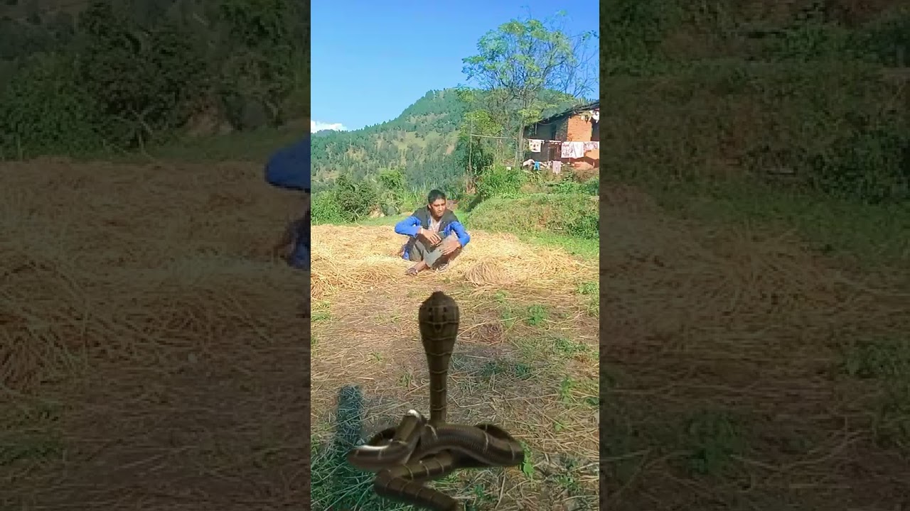 Nepali Comedy Video | 
