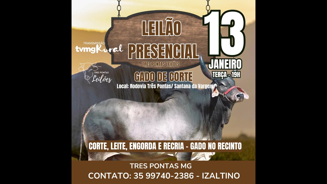 LEILÃO DE GADO MISTO - TRÊS PONTAS LEILÕES - AO VIVO - 13/01/2026