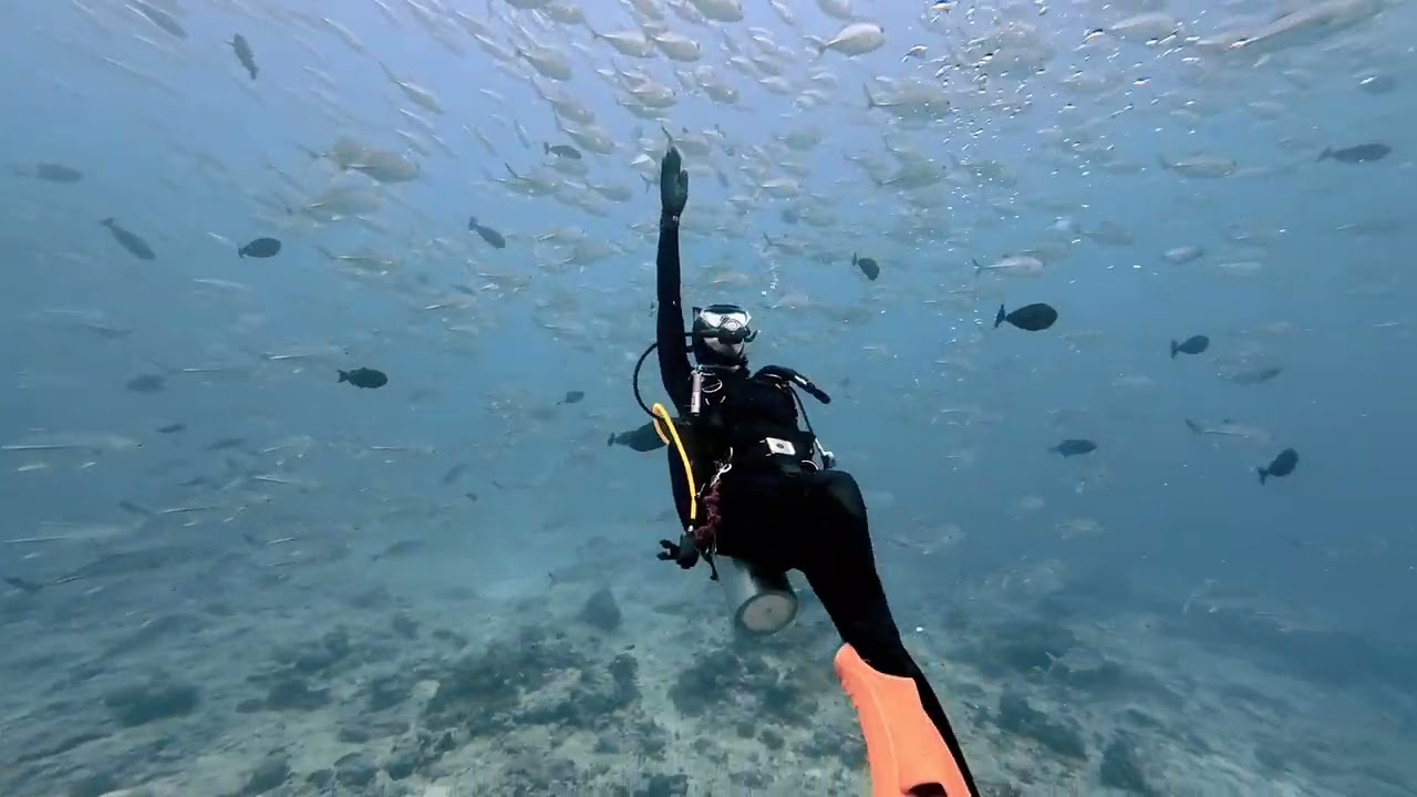2026 Palau 德國水道、藍洞、藍角