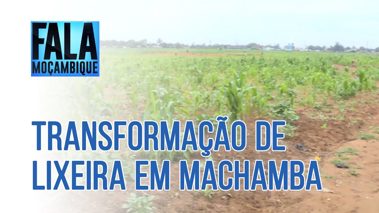 TRANSFORMAÇÃO DE LIXEIRA EM MACHAMBA, 09/12/2021