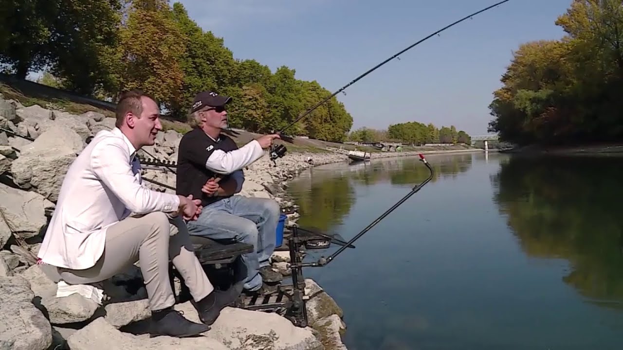 Walter Tam&aacute;s-portr&eacute;