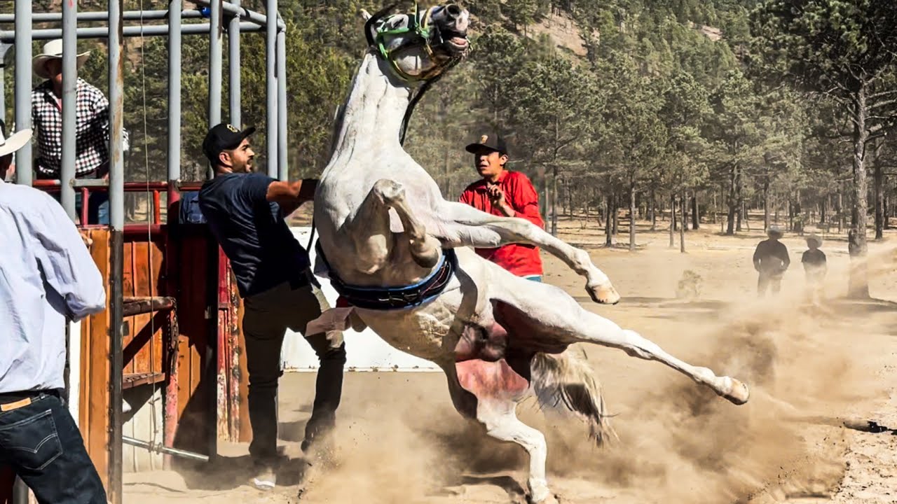 El Conejo Vs El Texano | San Antonio De La Cruz Durango Mex.