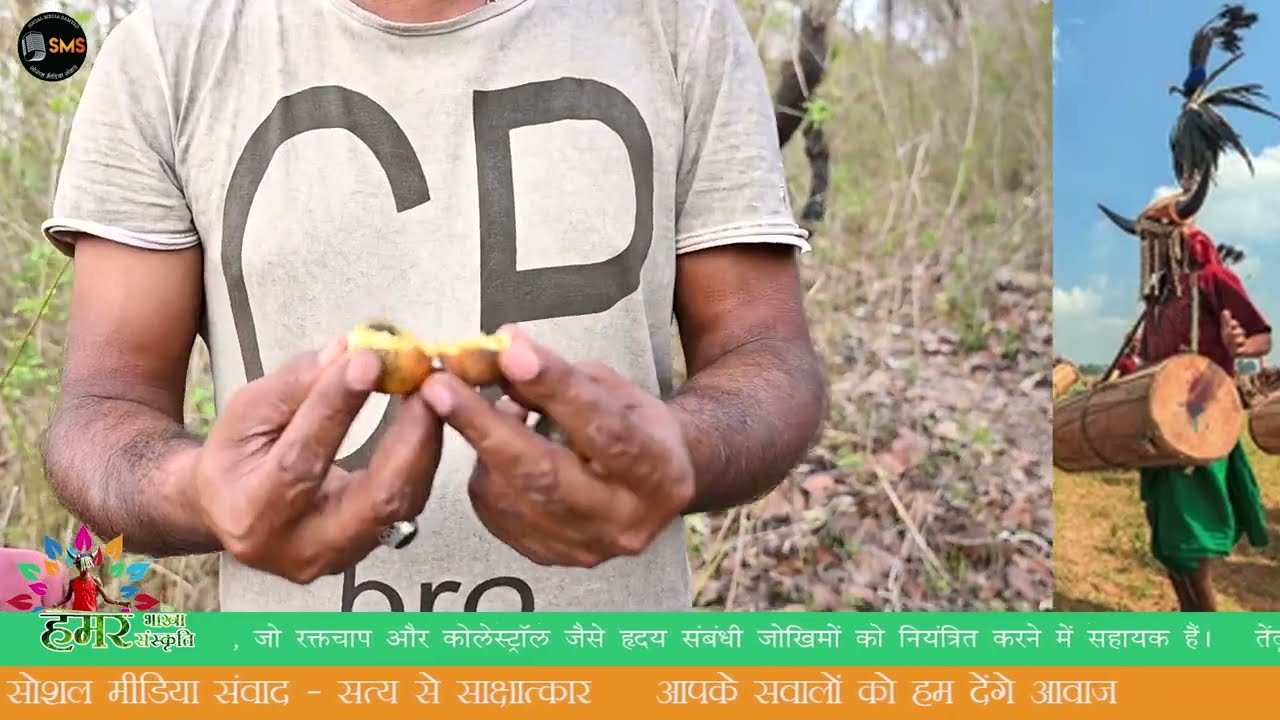 जानिए तेंदू फल सेवन के ढेरों स्वास्थ्य फायदे, रक्तचाप और कोलेस्ट्रॉल कंट्रोल में हैं कारगर #BASTAR