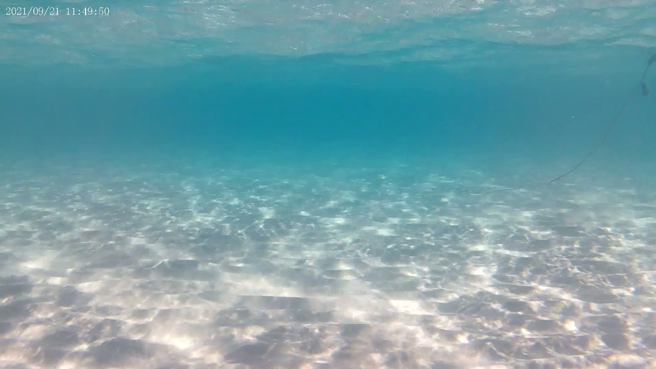Caraibi del Salento