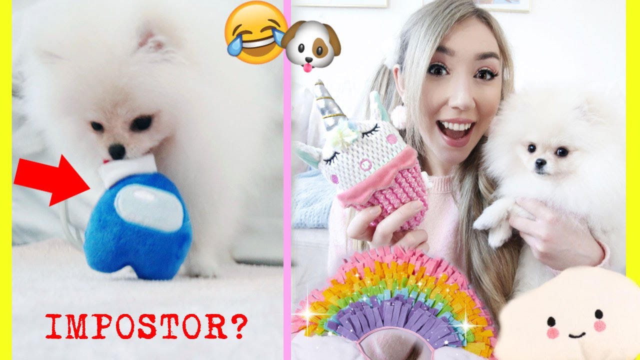 BABY FLUFFY findet echten IMPOSTOR AMONG US  *WELPE LIVE REAKTION auf AMAZON HUNDESPIELZEUGE 2021*