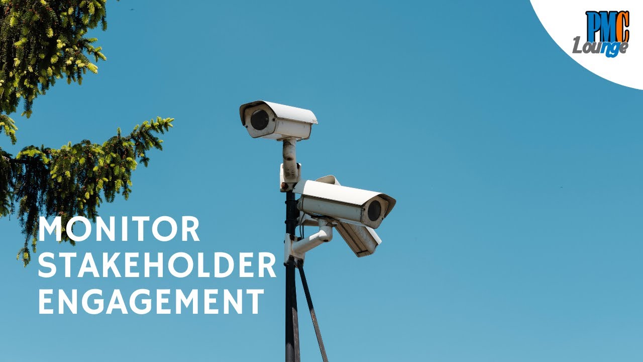 Monitor Stakeholder Engagement Process