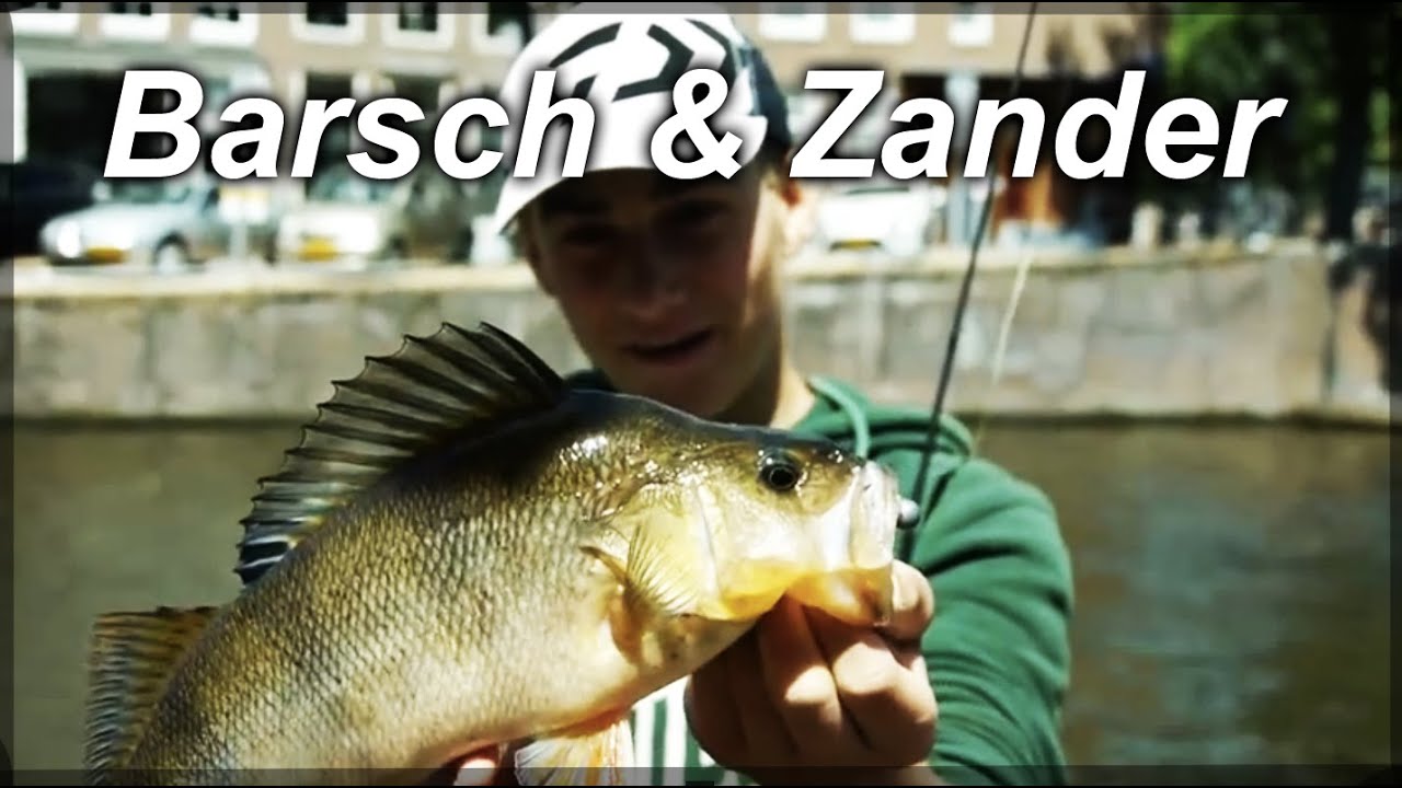 Streetfishing in Holland: Angeltechnik für Zander und Barsch