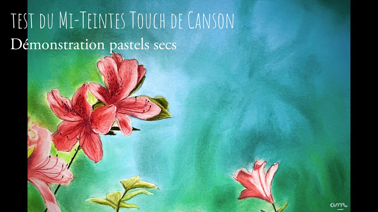 Test du papier Mi-Teintes Touch de Canson / tutoriel pastels secs