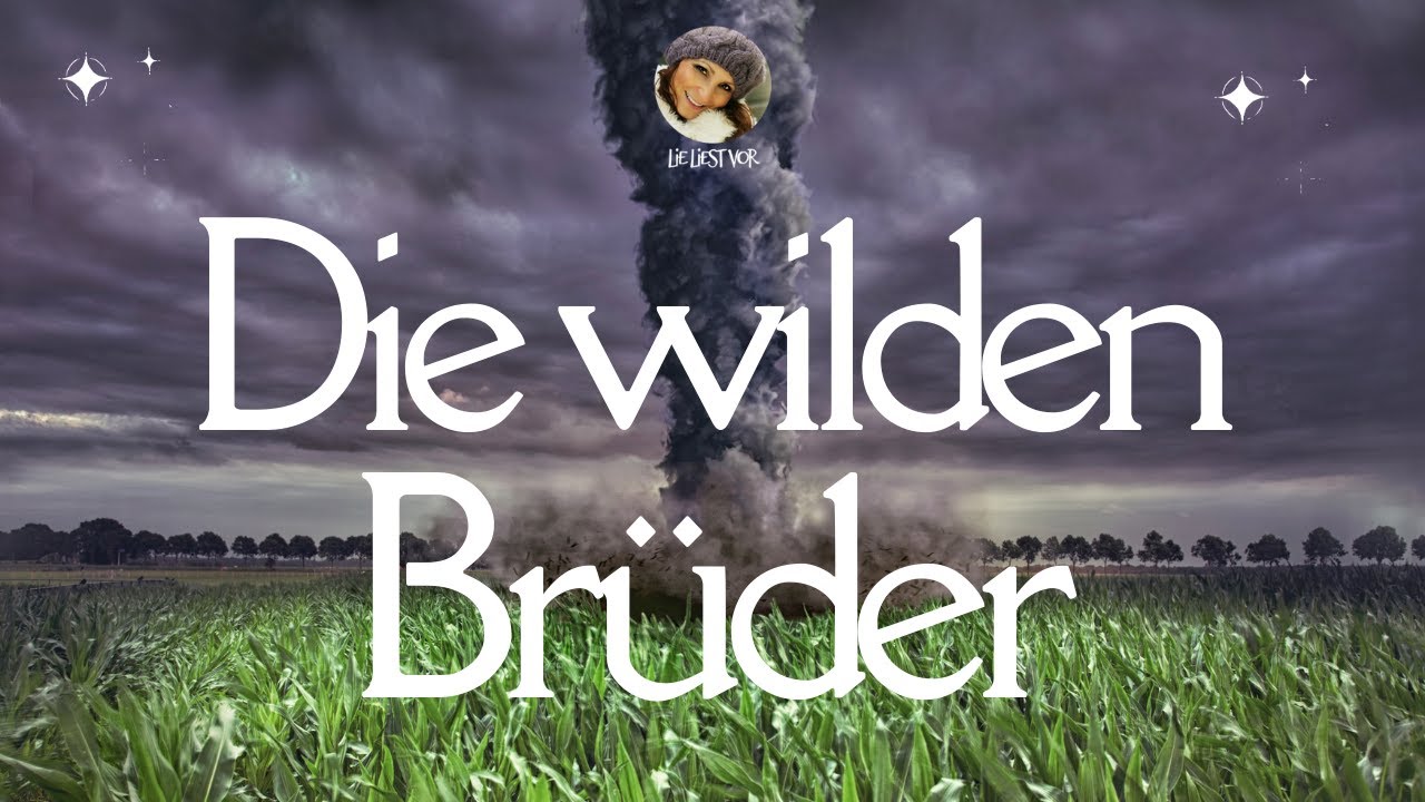 Die wilden Brüder: Märchen Hörbuch zum Entspannen & Abschalten (Dr. Ulebuhle)