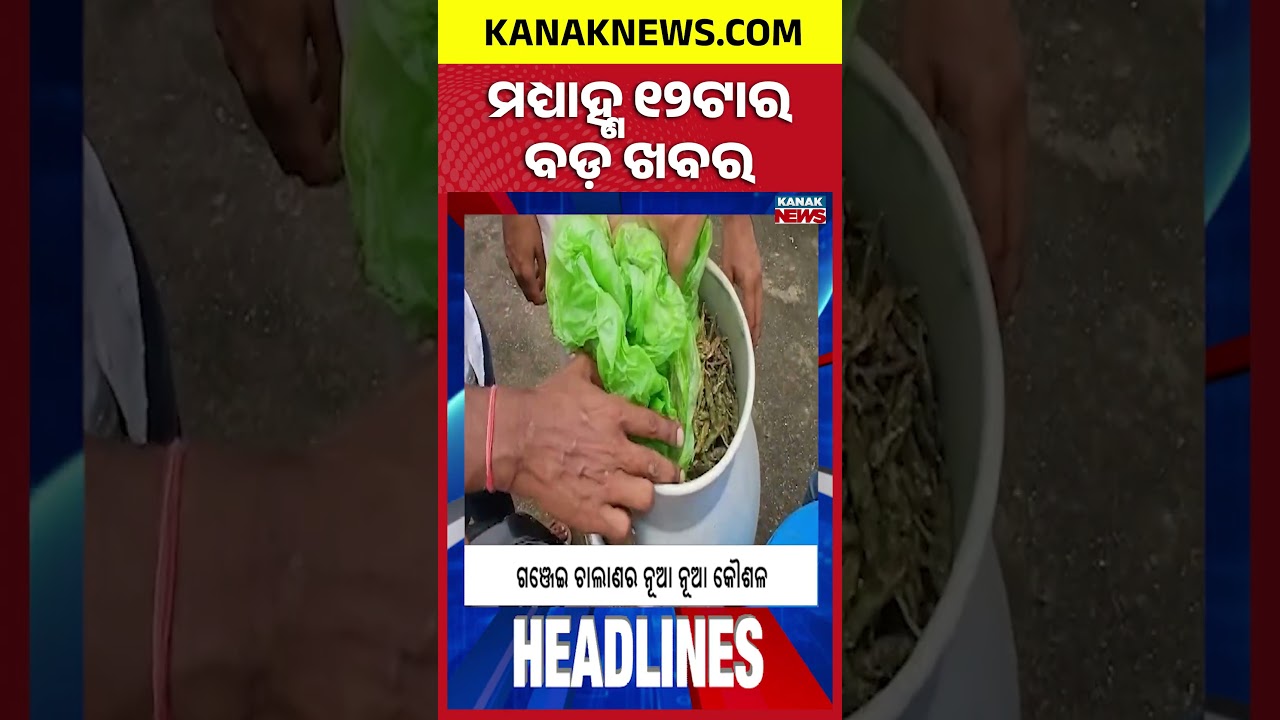 Textbook Errors: Shocking RTI Revelations | Tigress Found Dead in Similipal | 12Noon Headlines