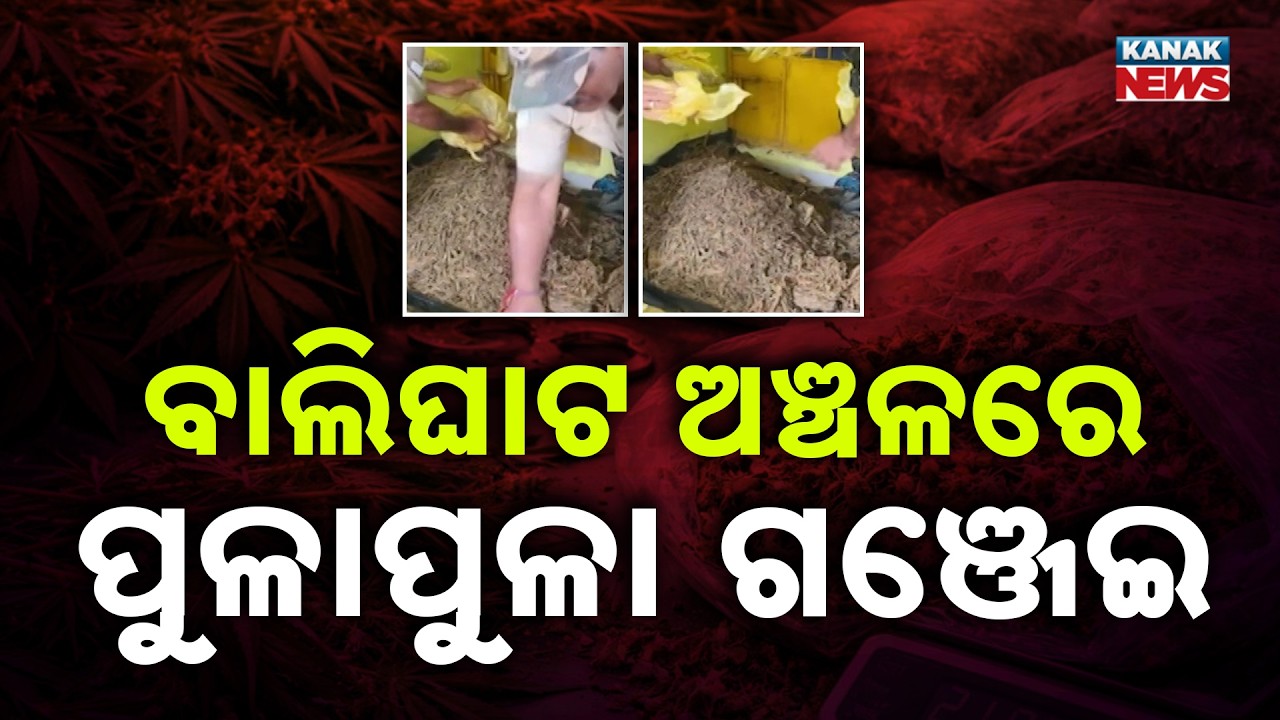ପୁଳା ପୁଳା ଗଞ୍ଜେଇ ଜବତ! Puri Ganja Seizure | Huge Cache Recovered Near Gopalpur Balighat