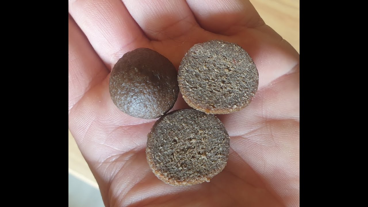 Boilies self made tecniche partendo dalle crocchette per cani (seconda parte)