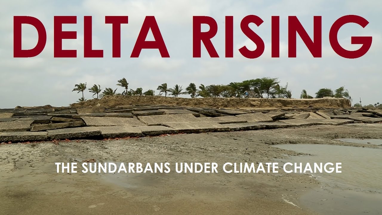 DELTA RISING - The Sundarbans under Climate Change