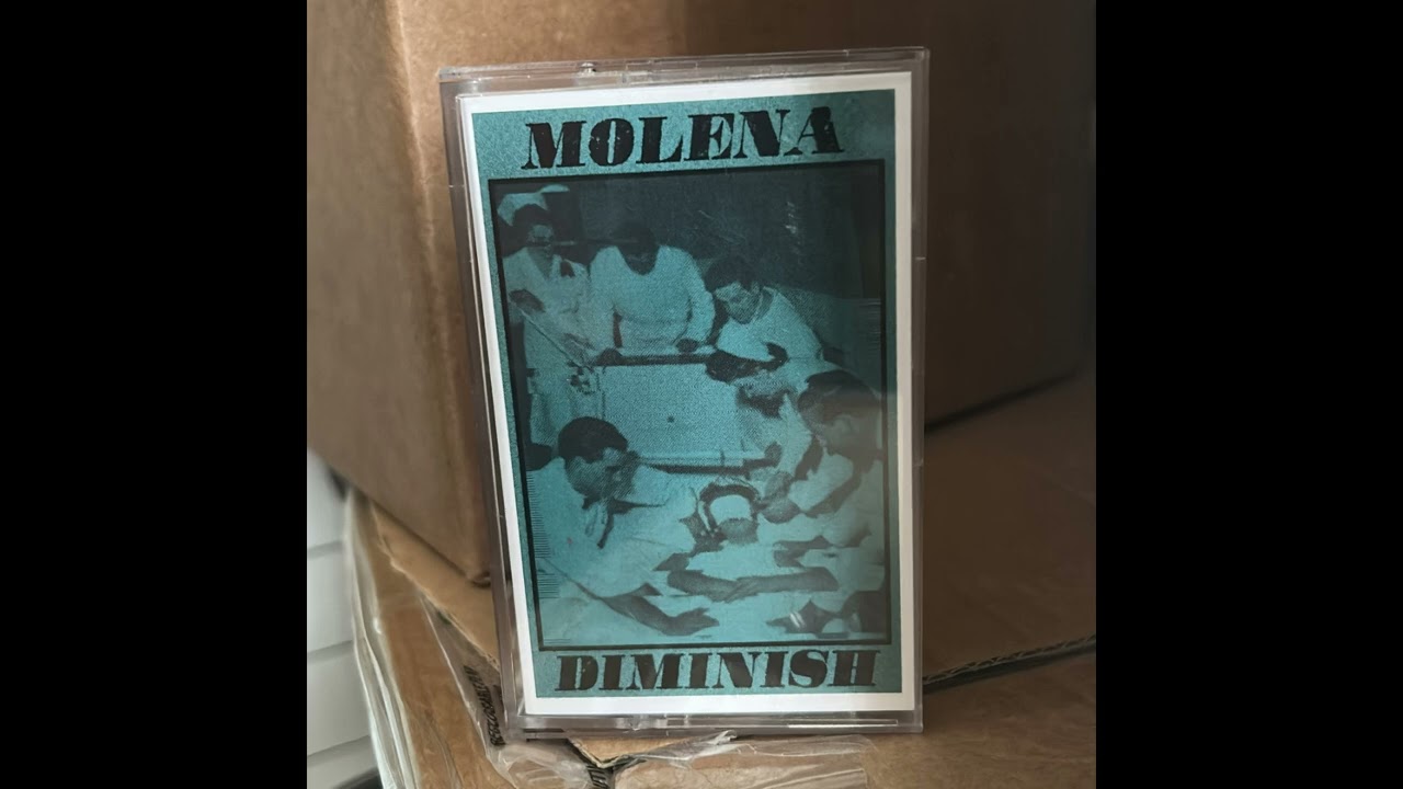 MOLENA/DIMINISH - Split (Full Release - 2025)