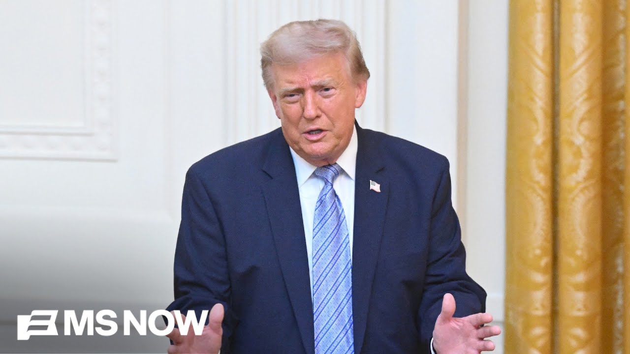 &lsquo;He will not succeed&rsquo;: Dems hold meeting to combat Trump&rsquo;s potential midterm interference