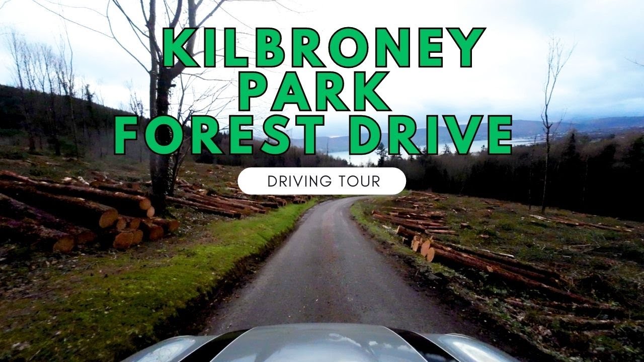 Kilbroney Park Forest Drive - Northern Ireland UK