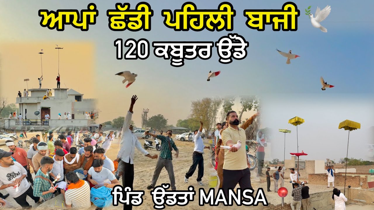 ਪਹਿਲੀ ਬਾਜ਼ੀ ਛੱਡੀ ਆਪਾਂ 🕊️|| 120 ਕਬੂਤਰ ਉੱਡੇ 🔥|| Phli Bazi Shdi Apa 🕊️|| Uddtan -PUNJAB📍 #kabootar
