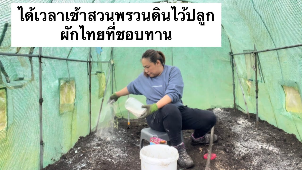 ได้เวลาเช้าสวนพรวนดินไว้ปลูกผักไทยที่ชอบทาน