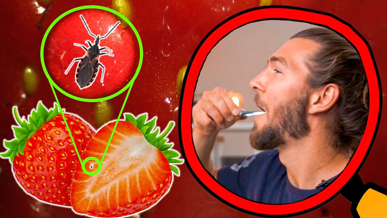 We Put Fruits Under Microscope To Find BUGS! Did We Find Any?