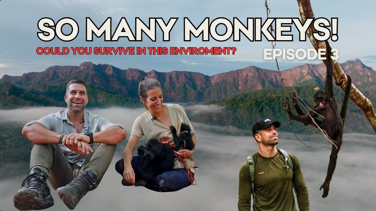 What It Takes to Protect Bolivia’s Wildlife