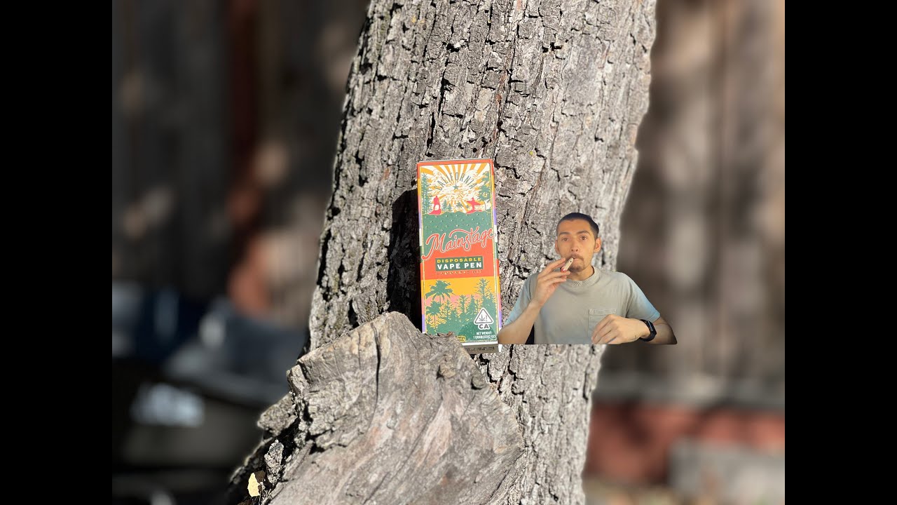 are these the BEST disposables ?