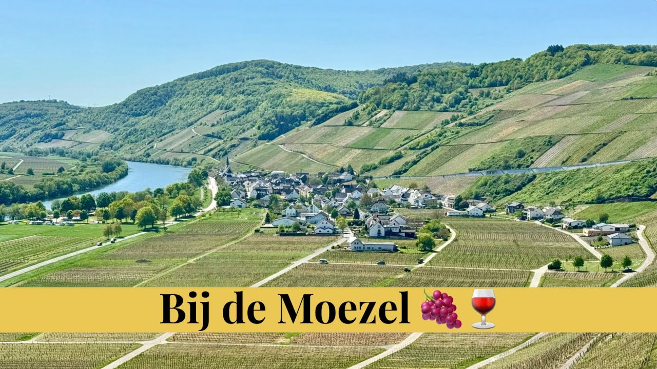 #332 Bij de Moezel 🍇