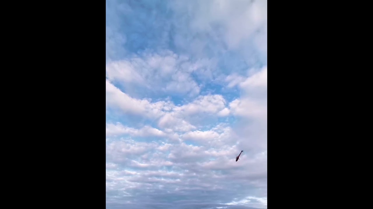 Fast devil 380 'pinky'