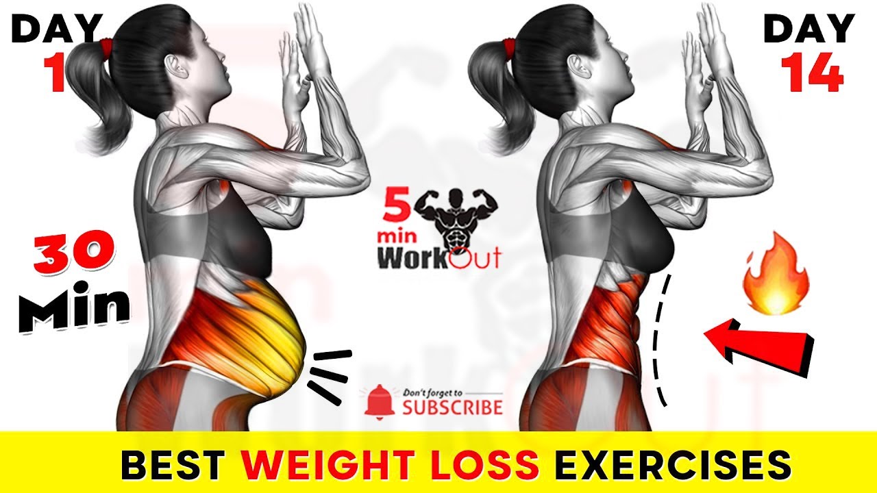 Quick Fat Burn with 30 Min WeightLoss Workout 🔥 Perfect for Beginners! 🔥Get Smaller Waist in 14 Days