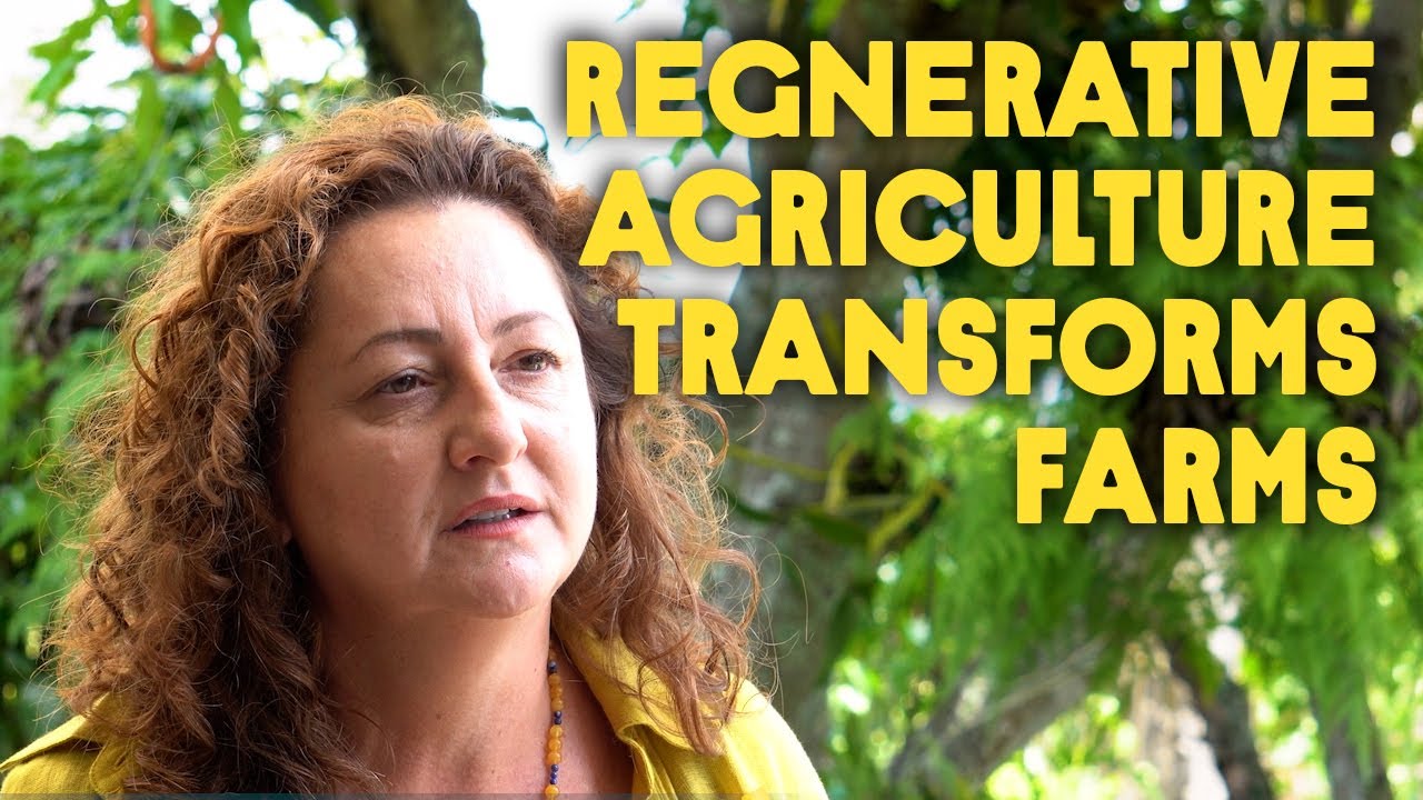 Our Regenerative Coffee Agriculture Journey in Costa Rica with Nespresso