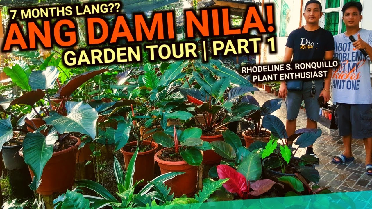 PHILODENDRON VARIETIES NA USONG USO ALL IN ONE GARDEN | CERTIFIED COLLECTOR SI SIR 😍plantzilla bhl