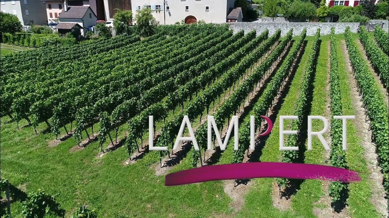Weingut Lampert, Maienfeld