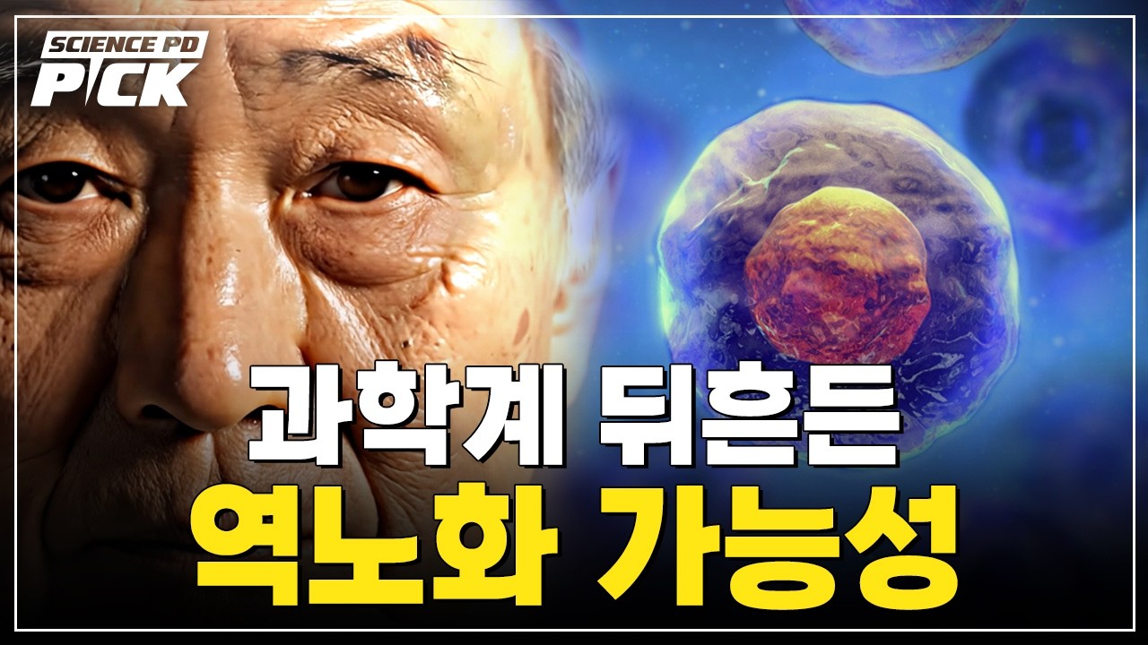 “늙은 세포만 제거한다” 노화 막는 기술 등장, 과학계 발칵! 생명 연장의 꿈 이뤄질까? [Science PD Pick] / YTN 사이언스
